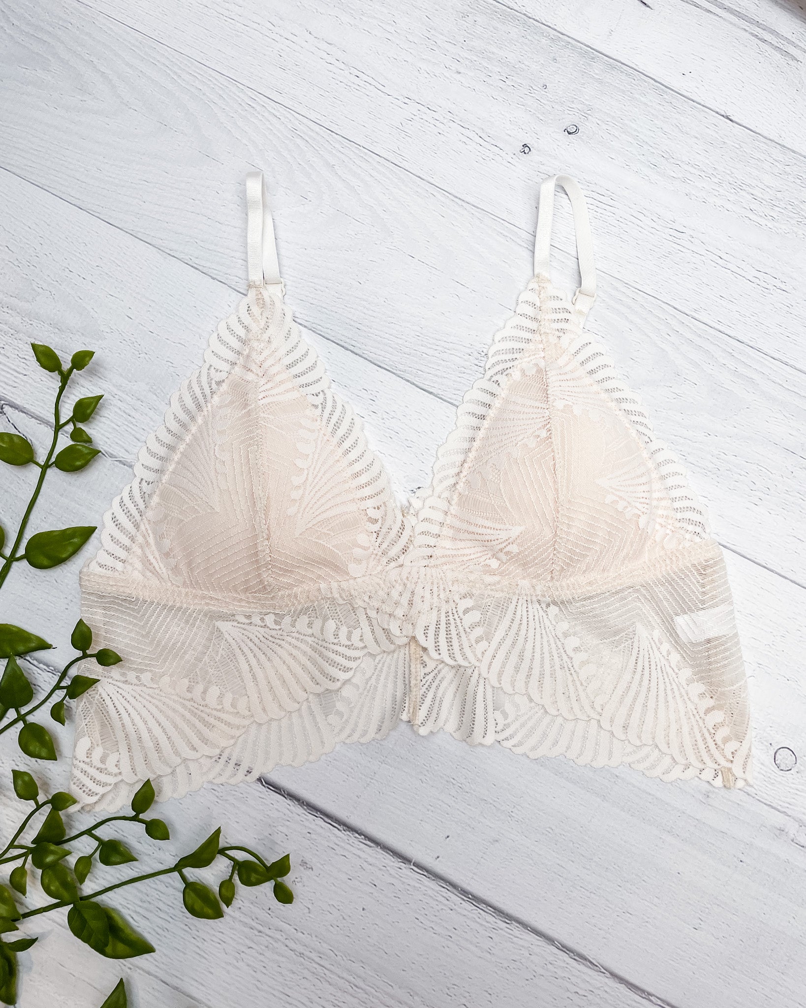 Butterfly Scallop Lace Bralette - Ivory - Hope + Freya