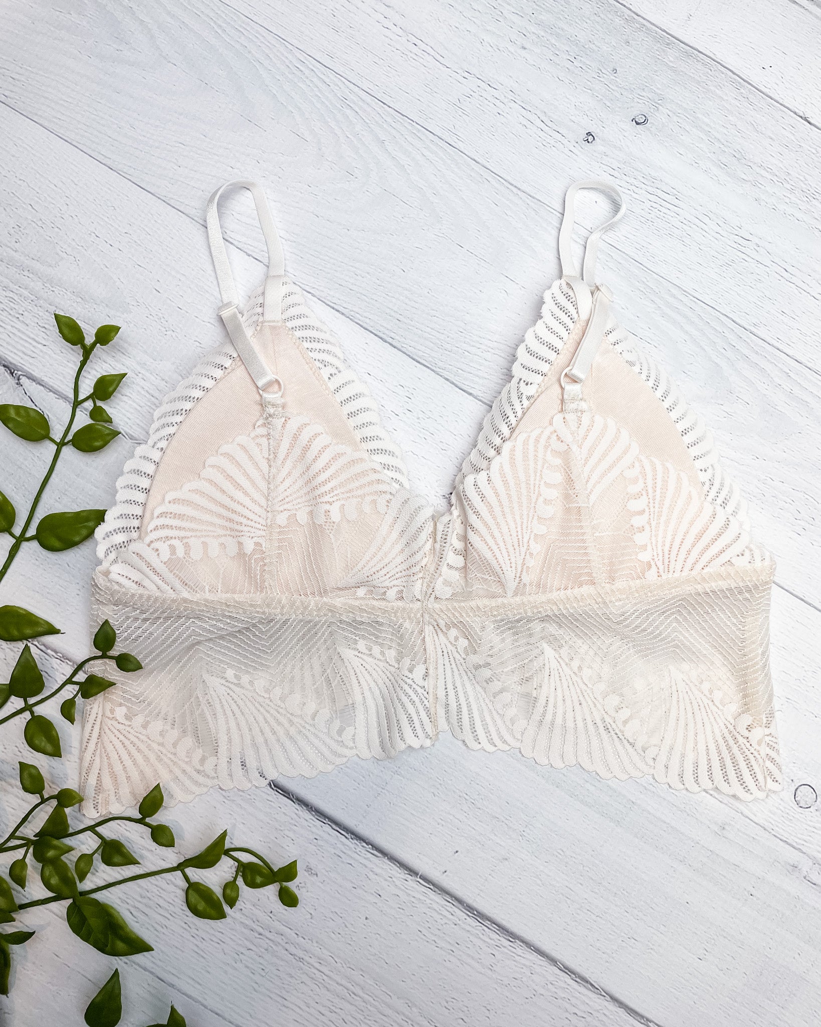 Butterfly Scallop Lace Bralette - Ivory - Hope + Freya